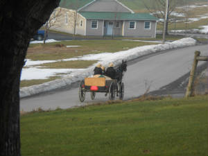 dscn0019.jpg